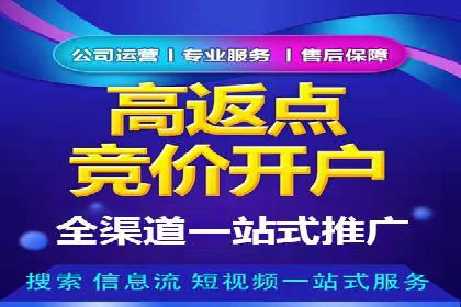 SEM托管公司案例解析：账户优化策略